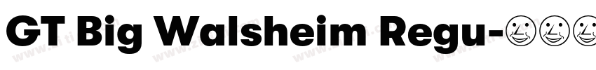 GT Big Walsheim Regu字体转换